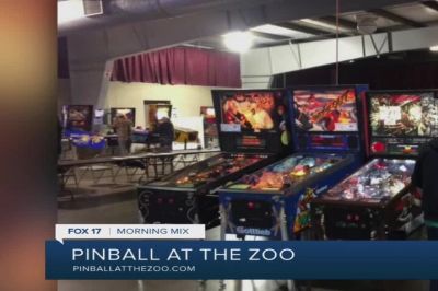 Play unlimited arcade games during Pinball at the Zoo